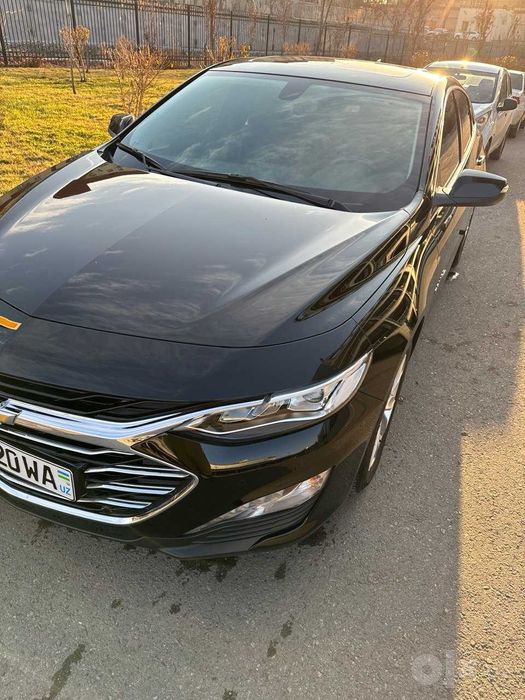 Malibu Premier 2022 Qora