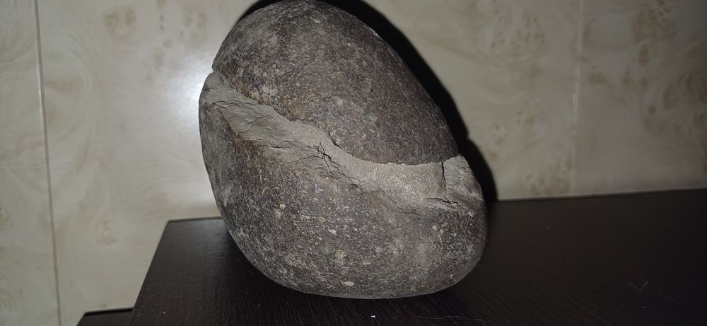Окаменелое яйцо Динозавра