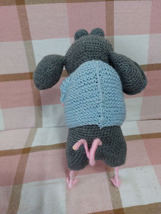 Мышь Константин. Очень дружелюбный и неприхотливый.