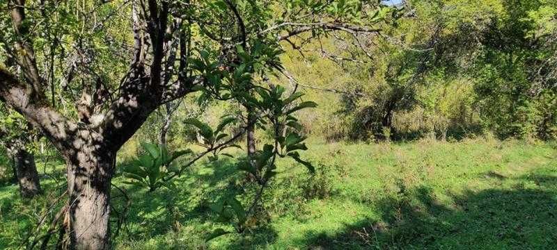 Продават се 3 земеделски имота (поземлени)