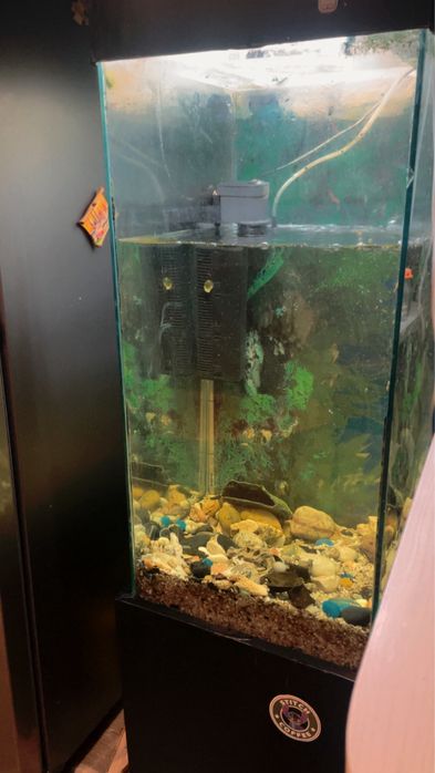 Аквариум обьем 100 литров