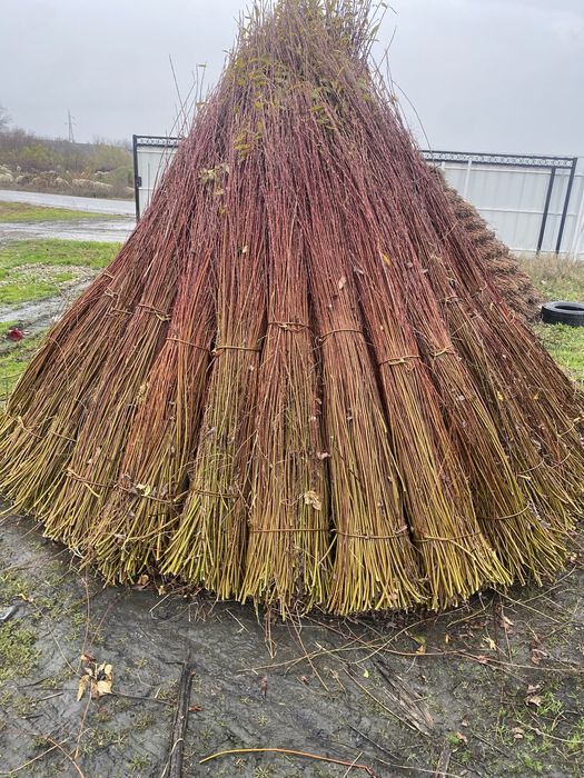 Vand rachita pentru cosuri