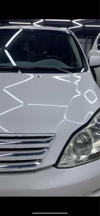 Костаправ моляр