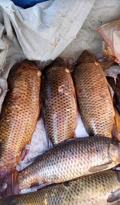 продаётся 2-х комнатный дом