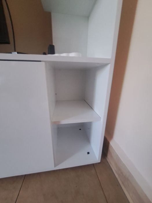 Бяла секция на Виденов