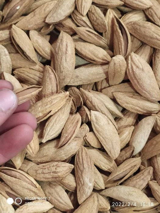 Шредер агро ишончли кучатлар