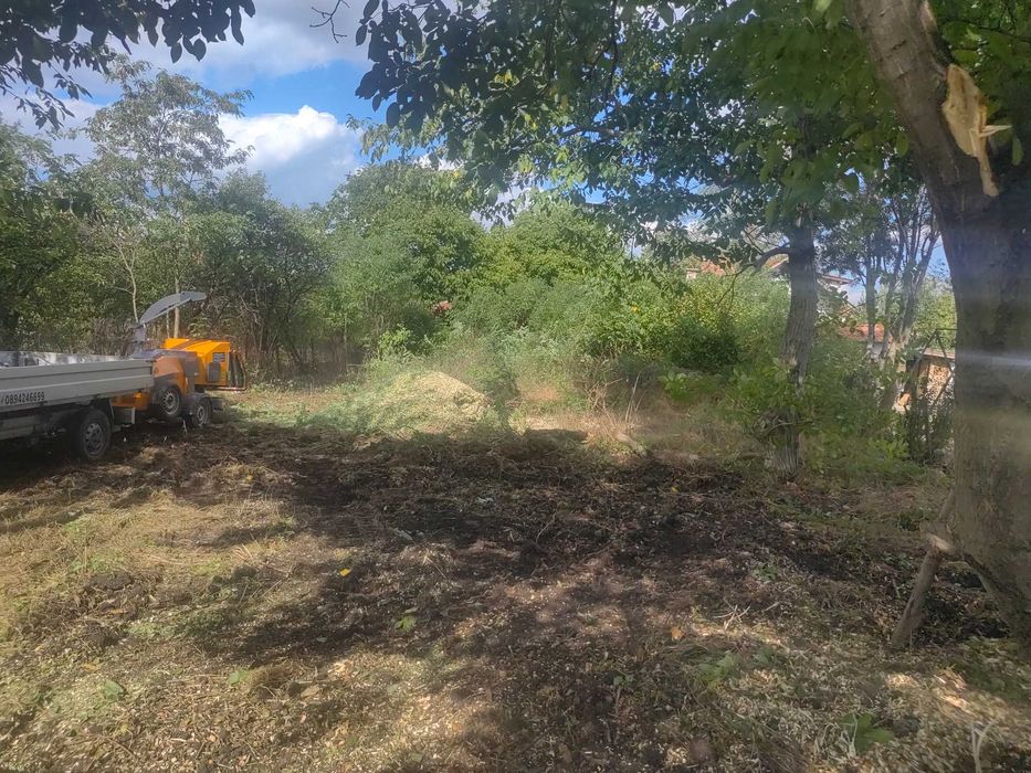 Дробилка за клони. Почистване на запустели терени и дворове