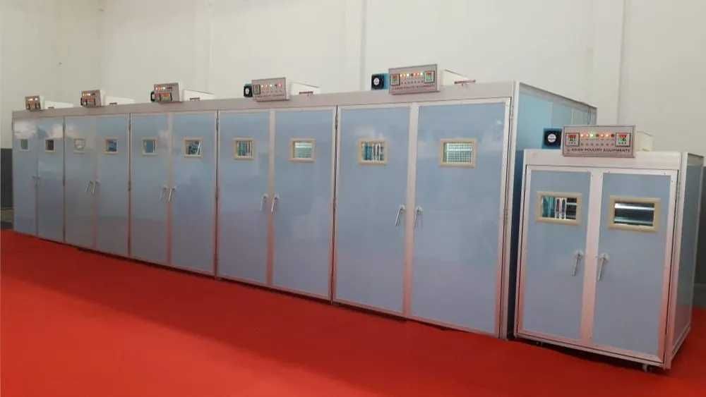 Инкубатор хизмати услуга инкубатора