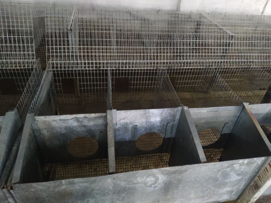 Клетка для кроликов