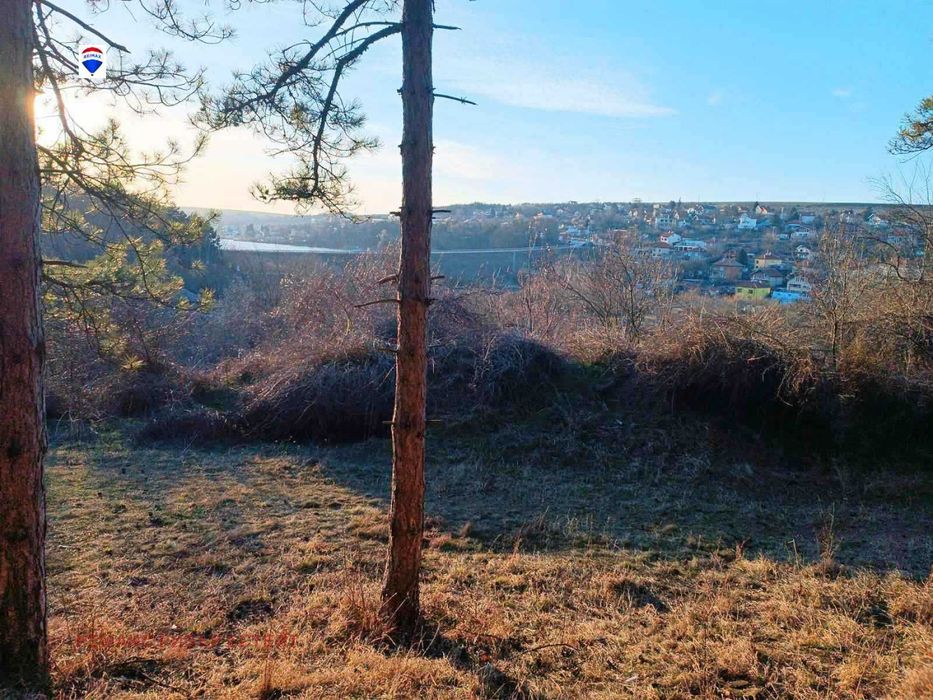 Горски масив в района на Лесопарк Липник