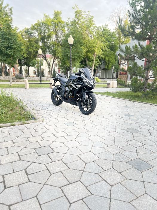 Cavalo Bandao R1 250cc