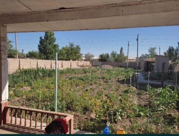 Питнак шахрида барча қулайликга эга уй сотилади.