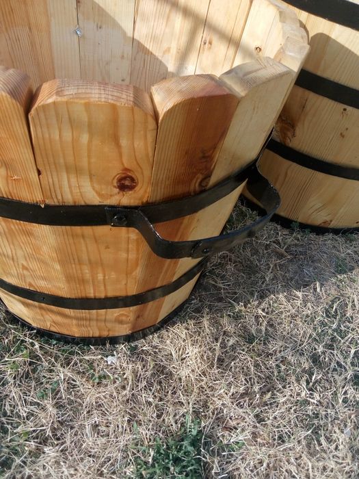 Саксии за лимони и палми