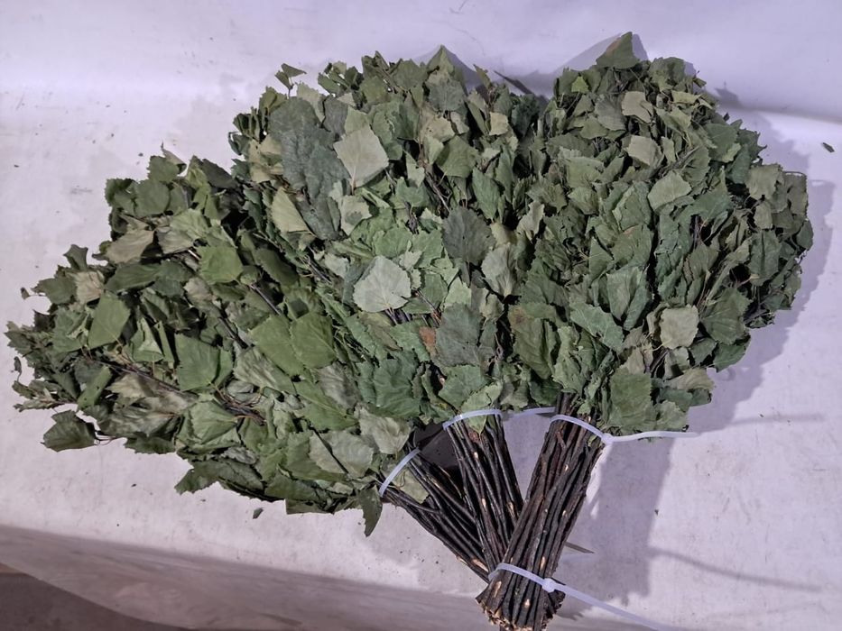 Веник березовый для бани Астана