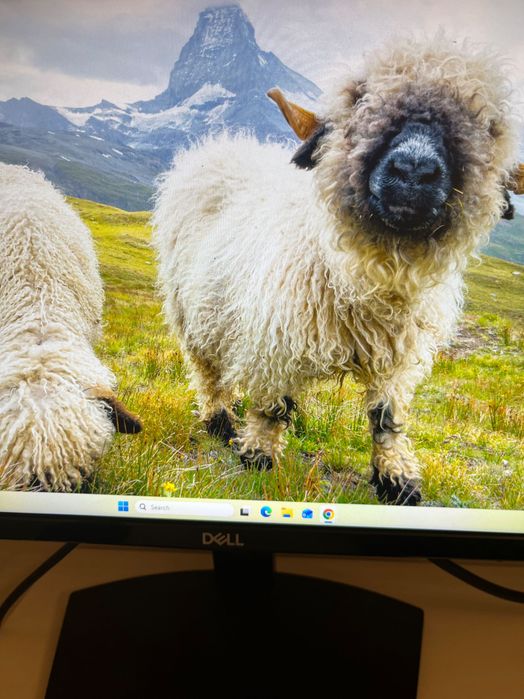 Monitor pc 21,5 inch dell se SE2219H