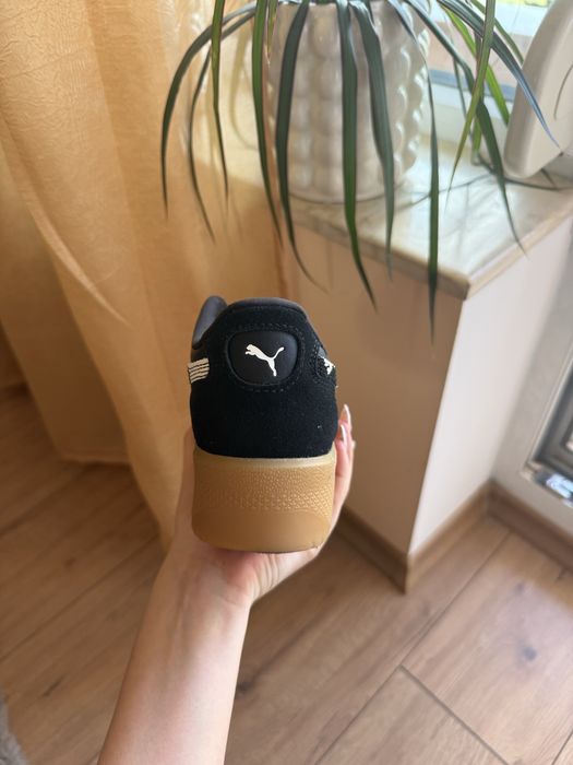 Puma palermo elevata
