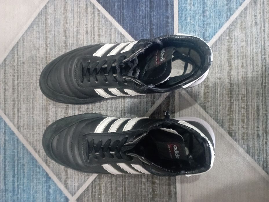 Сараконожки Mundial