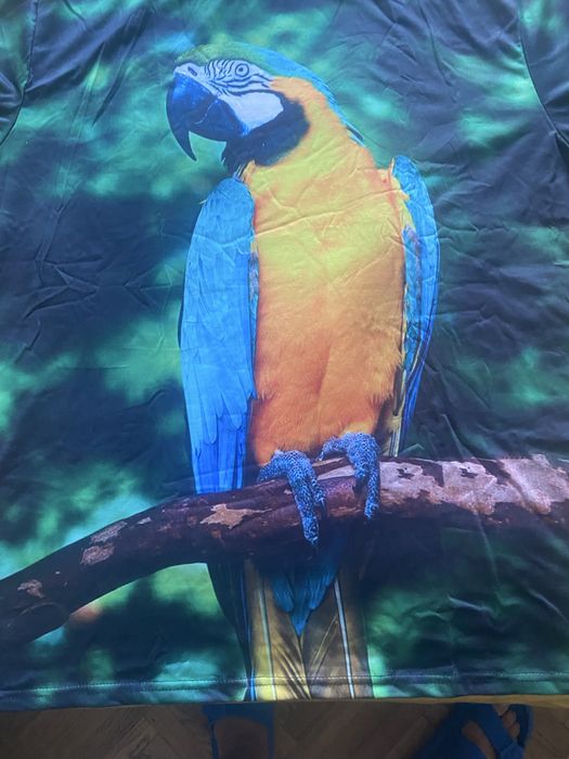 Мъжки тенески гореми  размери