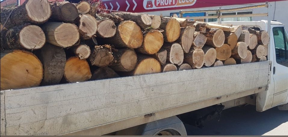 Lemn de foc esența tare fag