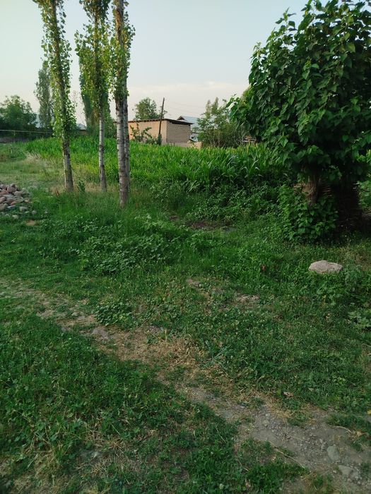 Участка арзон нархда чамбилда