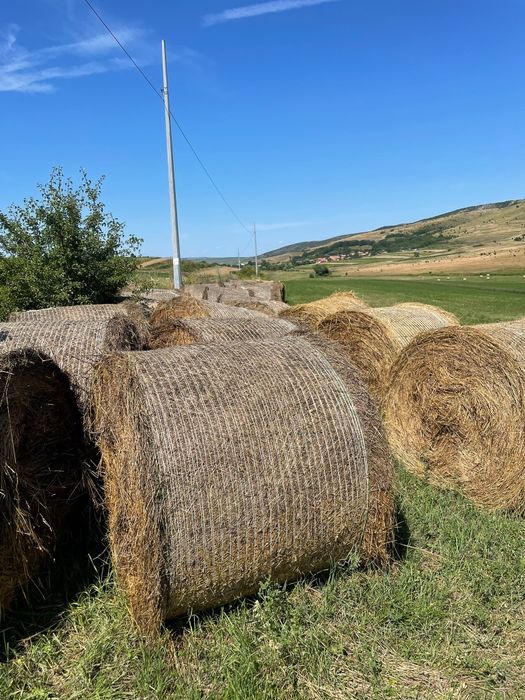 Vând baloți lucernă și fân