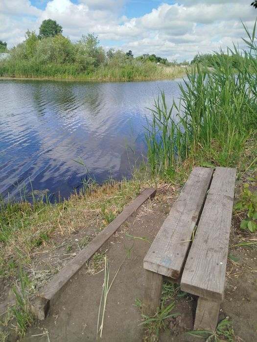 Дом посуточно с баней