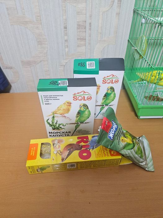 Продается Водянистые Попугаи