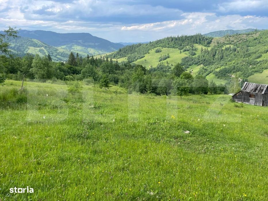 Teren de vanzare, 2 ha - Campulung Moldovenesc, zona Sandru