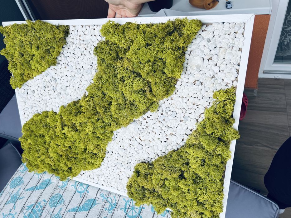 tablou de licheni naturali