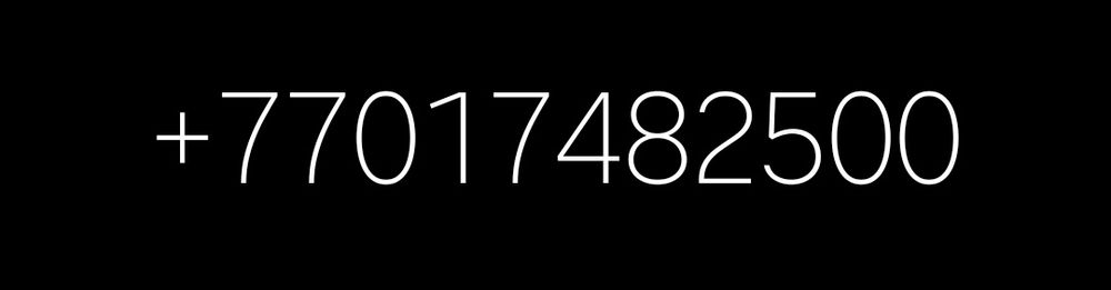 Кот Саймон на лобовое