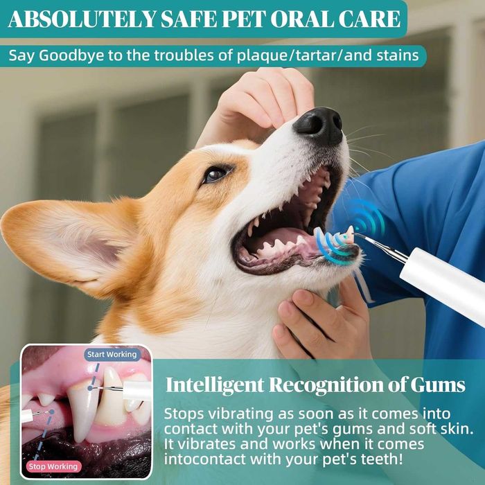 Hauser Комплект за почистване на зъби от зъбен камък и петна, 2 в 1