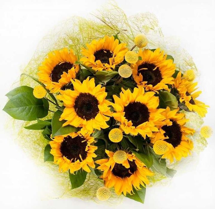 продам недвижимость