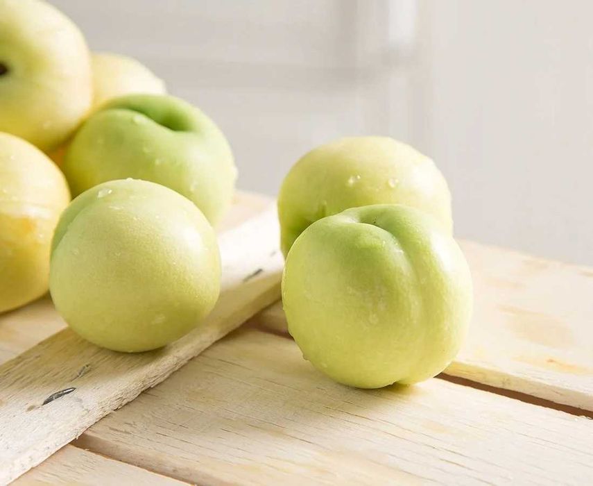 Бяла нектарина - Фиданки