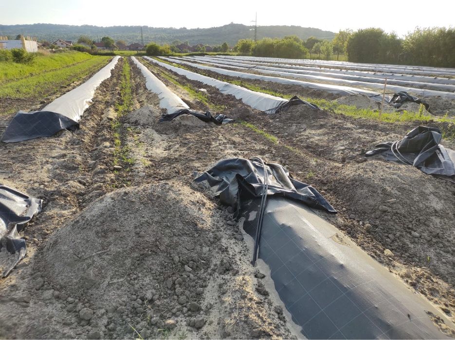 Utilaje/masini de bilonat si infoliat pentru inchiriat