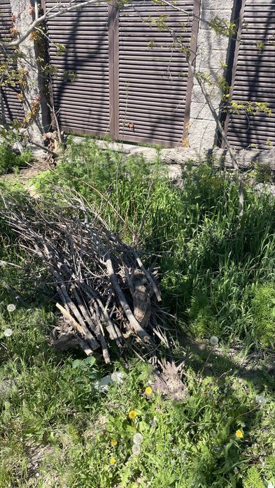 Дрова для шашлыка и самса