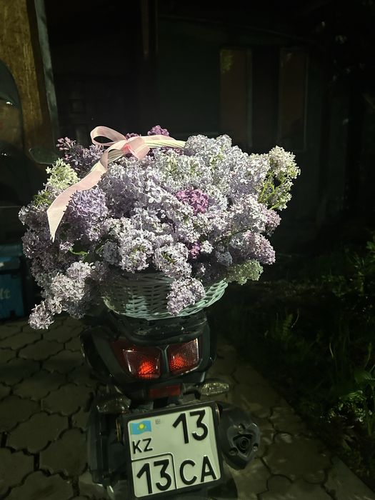 Сирень Алматыыыыы