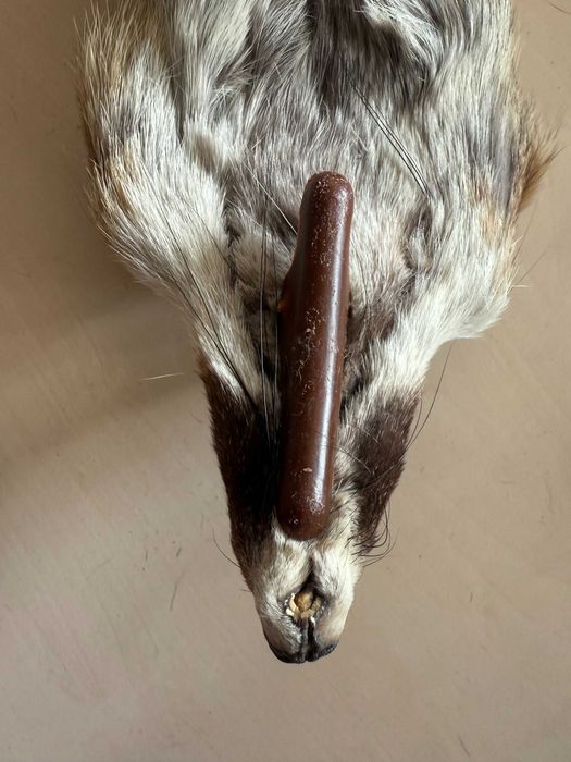 Яка шал лисица естествена кожа