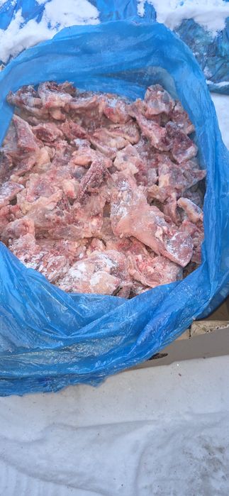 Кости, для собак