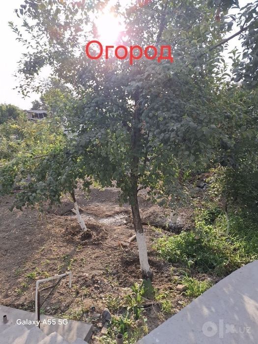 Hovli sotiladi srochna