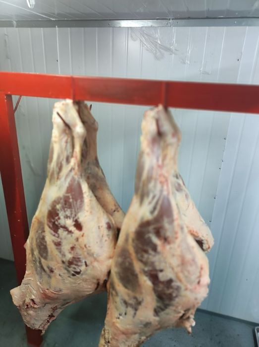 Мясо Ляжки Говядины,