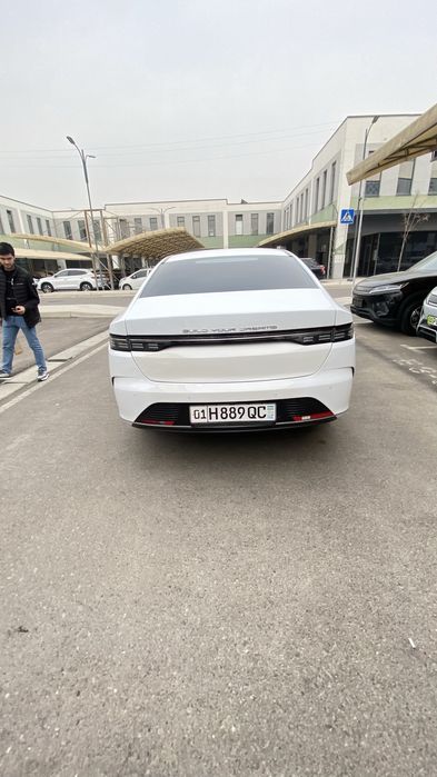 Byd chazor 2 poz 55 tali