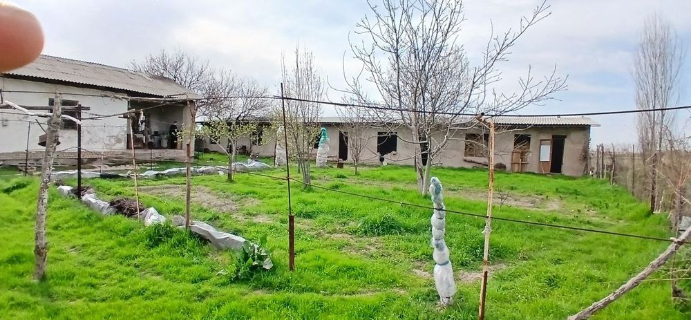 Yer sotiladi ikki honali uy yonida alohida karobka 5ta hona solingan