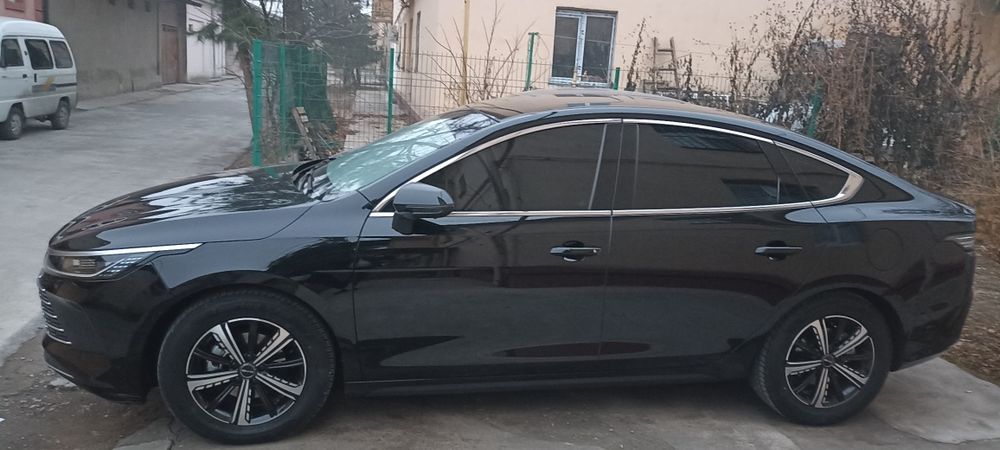 BVD Чазор 2023 Краска тозза 100%. 120 кмлиги.