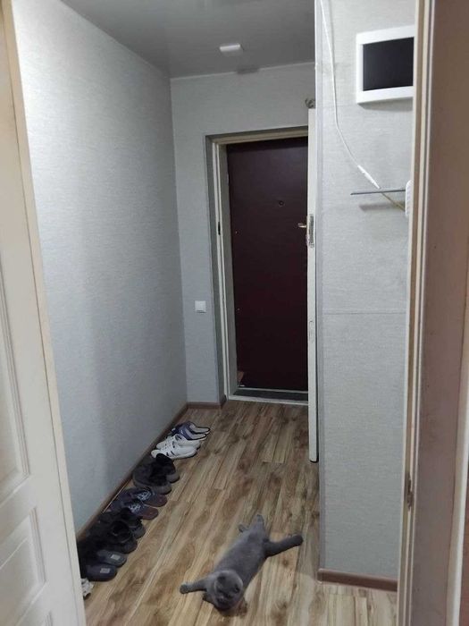 2/4/5 Авиагородок, заправка Мустанг, Сергелийский р-н