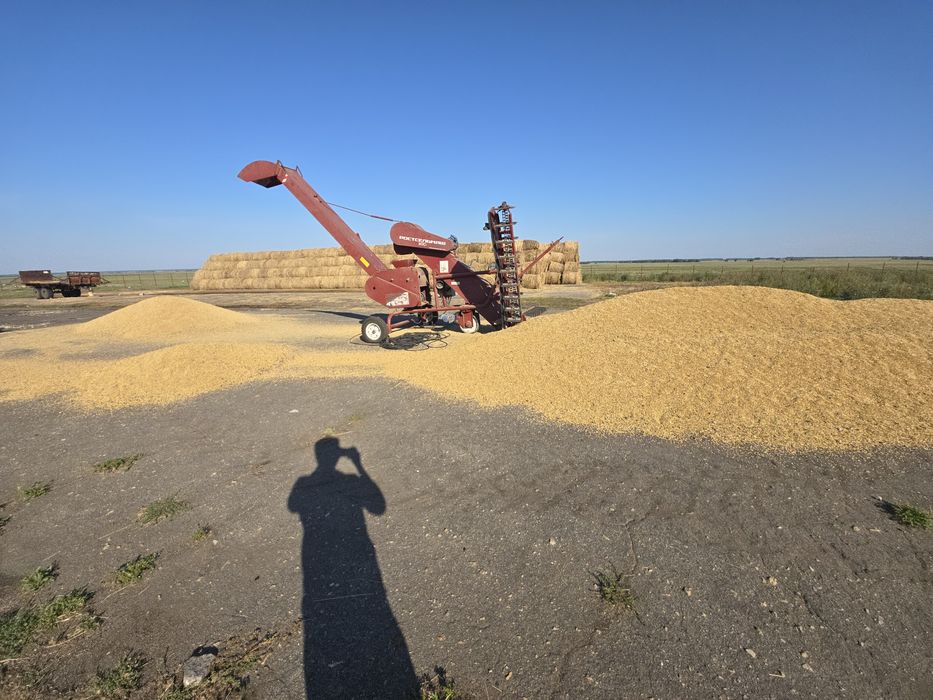 Продам ячмень, урожай 2026