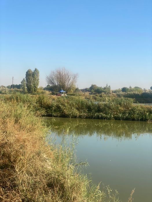 Рыбалка, проточная вода. Вкусная очень рыба