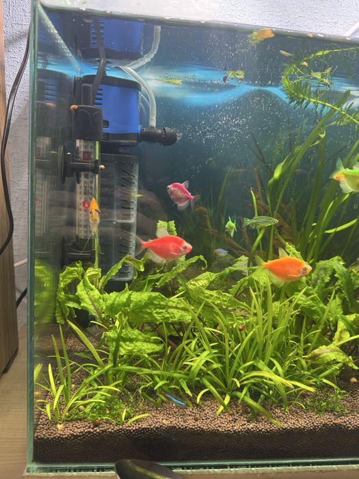 Аквариум 60-50 литров ………………..