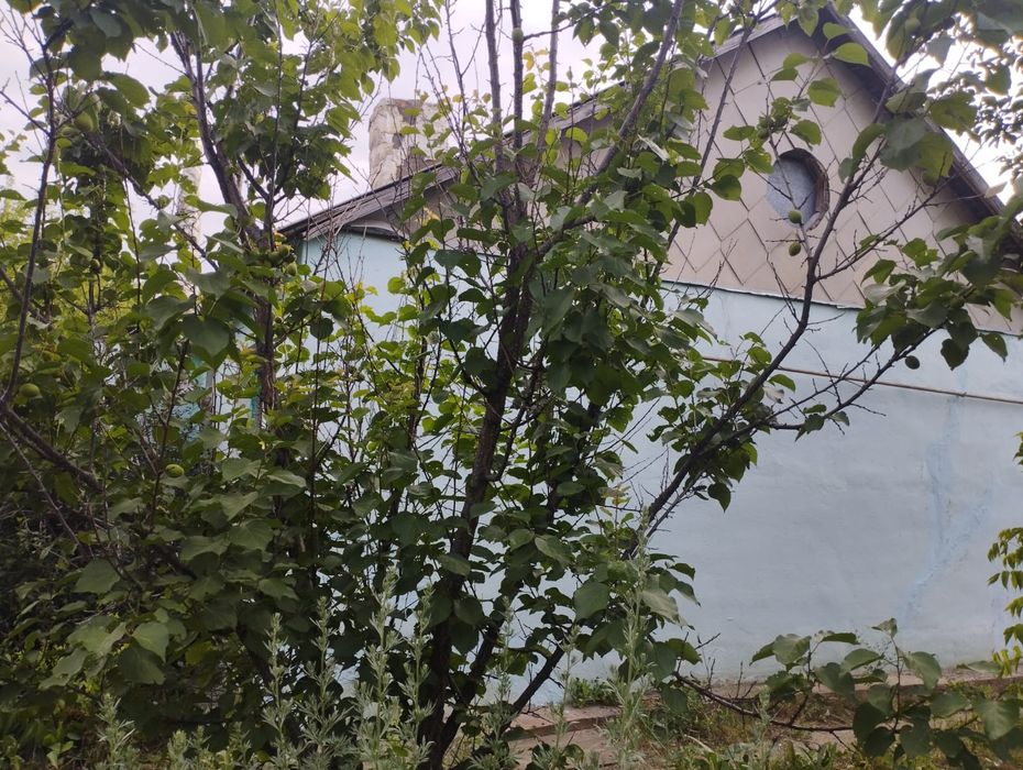 Продам дом участок 5 соток