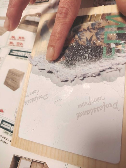 Снимка  на  дърво