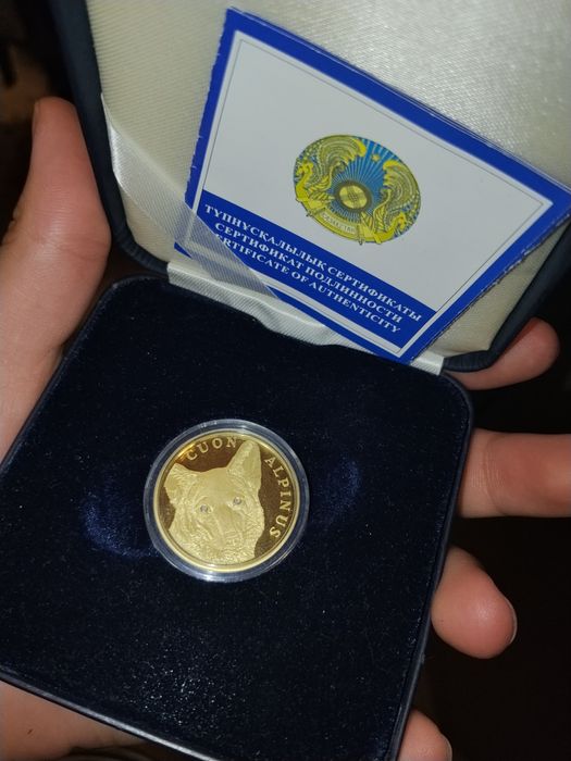 Cuon Alpinus красный волк